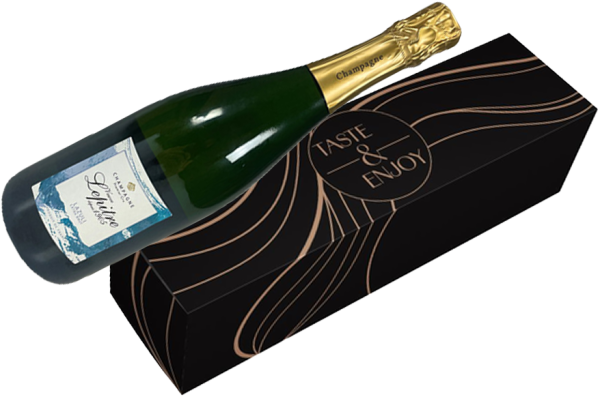 Bubbels En Reizen
